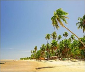 Call-center-busca-jovens-para-trabalhar-na-regiao-nordeste-televendas-cobranca