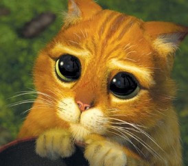 Por-que-e-tao-difiícil-pedir-desculpas-televendas-cobranca