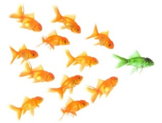 Vendedor-ja-nasce-pronto-ou-aprende-televendas-cobranca