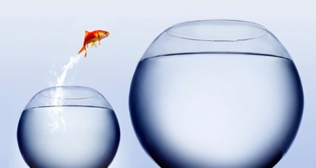 6-motivadores-do-vendedor-de-alta-performance-televendas-cobranca