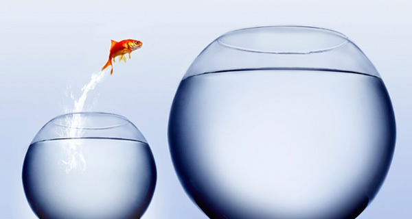 6-motivadores-do-vendedor-de-alta-performance-televendas-cobranca 6-motivadores-do-vendedor-de-alta-performance-televendas-cobranca