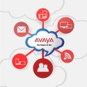 Avaya-lanca-solucao-de-contact-center-para-o-midmarket-televendas-cobranca