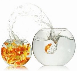 Comfort-repensa-comunicacao-para-novo-cliente-televendas-cobranca