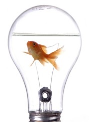 O-maior-desafio-do-negocio-fugir-do-passado-televendas-cobranca