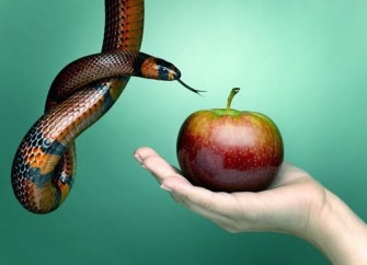 Os-7-pecados-da-gestao-de-vendas-televendas-cobranca