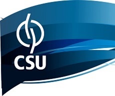 Ex-ativas-e-diretor-comercial-da-csu-its-televendas-cobranca