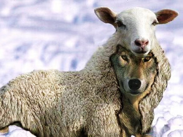 Credito-em-pele-de-cordeiro-televendas-cobranca Credito-em-pele-de-cordeiro-televendas-cobranca