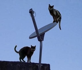 TV-paga-quase-uma-sky-de-conexoes-piratas-no-brasil-televendas-cobranca