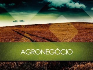 Credito-escasso-atinge-agronegocio-e-ameaca-competitividade-do-campo-televendas-cobranca-oficial