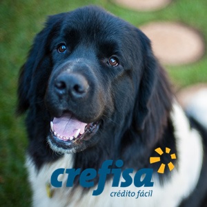 Crefisa-o-bom-negocio-de-emprestar-dinheiro-ao-mau-pagador-televendas-cobranca Crefisa-o-bom-negocio-de-emprestar-dinheiro-ao-mau-pagador-televendas-cobranca