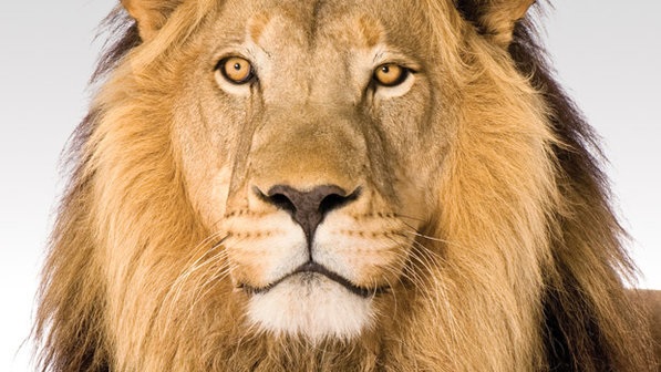 Estados-aguardam-lei-para-vender-debitos-ao-mercado-televendas-cobranca