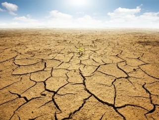 Sicoob-prorroga-pagamento-de-dividas-do-credito-rural-nos-municipios-atingidos-pela-seca-televendas-cobranca