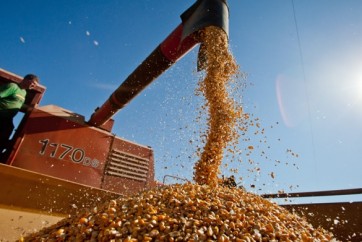 Bancos-precisam-aperfeicoar-o-risco-socioambiental-do-credito-ao-setor-agropecuario-televendas-cobranca