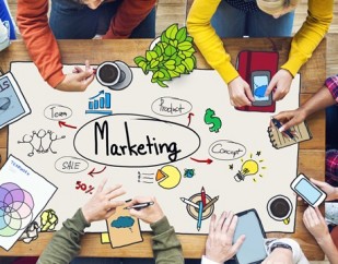 7-dicas-basicas-de-marketing-para-empresas-novatas-televendas-cobranca