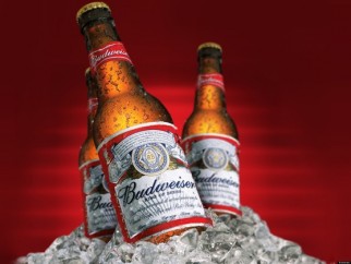 Nos-testamos-o-chatbot-da-budweiser-que-vende-cerveja-pelo-twitter-televendas-cobranca-oficial