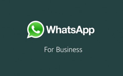 Whatsapp-conta-de-empresa-sera-identificada-como-verificada-confirmada-ou-comercial-televendas-cobranca