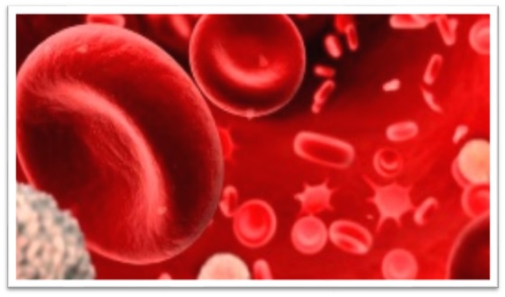 A-base-do-conhecimento-como-alicerce-para-self-service-por-camilo-frigo-televendas-cobranca-interna-3