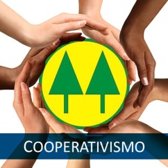 Consorcios-e-cooperativas-de-credito-crescem-no-pais-diz-bc-televendas-cobranca