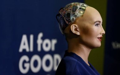 Robos-ganham-cidadanias-e-tem-determinacao-de-direitos-e-deveres-televendas-cobranca-1