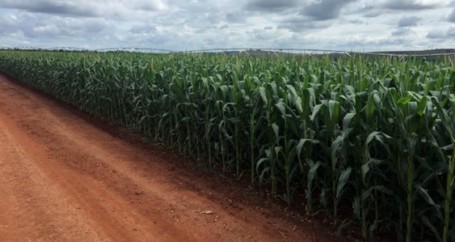 Bradesco-aposta-nas-cprs-como-principal-instrumento-de-credito-ao-agro-televendas-cobranca-1