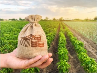 Ministrio-lana-plataforma-para-coibir-venda-casada-no-crdito-rural-televendas-cobranca-1