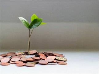 Bc-adotara-medidas-para-incluir-criterios-de-sustentabilidade-no-credito-televendas-cobranca-1