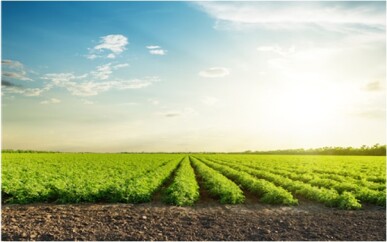 Bc-preve-lancar-bureau-verde-do-credito-rural-em-julho-televendas-cobranca-1