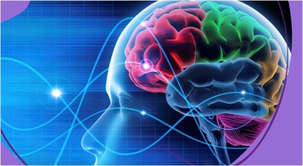 Por-que-o-neuromarketing-e-a-forma-mais-eficiente-de-conhecer-seu-cliente-televendas-cobranca-3