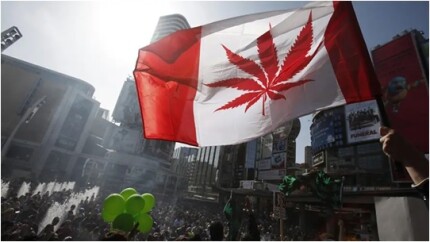 Como-e-a-comportamento-consumo-canadenses-televendas-cobranca-1