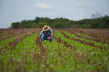 3 em cada 10 produtores rurais estão inadimplentes-televendas-cobranca-1