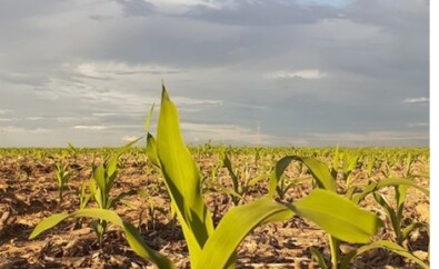 ModerCred defende aperfeiçoar mecanismos de crédito no setor agro