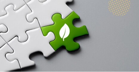 Presidentes de bancos destacam a bioeconomia e as oportunidades da sociedade digital-1