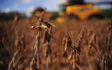 Cresce-a-procura-por-reestruturacao-de-dividas-no-agronegocio-televendas-cobranca-1