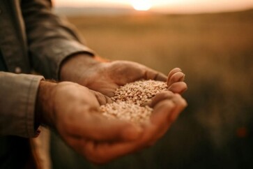 Credito-rural-produtores-de-16-estados-poderao-renegociar-suas-dividas-televendas-cobranca-1