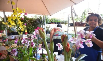 Desenrola-pequenos-negocios-cresce-30-e-chega-a-r-13-bilhao-diz-febraban-televendas-cobranca-1