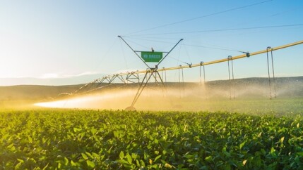 Para-produtores-taxa-de-juros-do-credito-rural-segue-elevada-televendas-cobranca-1