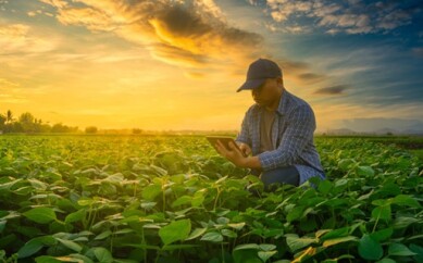 Bc-progride-em-agenda-sustentavel-no-credito-rural-televendas-cobranca-1