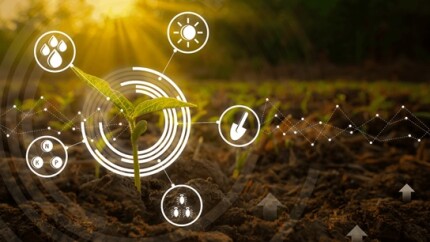 A-importancia-dos-canais-digitais-no-agro-televendas-cobranca-3