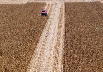 Falhas-de-gestao-e-perdas-na-safra-fazem-recuperacao-judicial-avancar-no-campo-televendas-cobranca-1