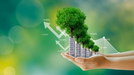 Na-esteira-dos-inadimplentes-gestora-apimentada-capta-r-250-milhoes-televendas-cobranca-1