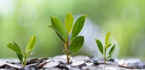 Bid-lanca-iniciativa-que-libera-capital-para-bancos-acelerarem-credito-verde-televendas-cobranca-1