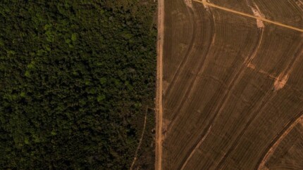 Credito-rural-subsidiado-premia-quem-desmata-no-brasil-diz-estudo-televendas-cobranca-1