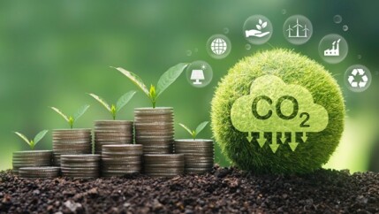 Mercado-de-carbono-atrai-bancos-televendas-cobranca-1