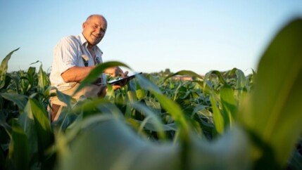 Credito-rural-recua-13-em-cenario-de-endividamento-crescente-dos-produtores-televendas-cobranca-1