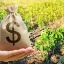 Concessao-de-credito-rural-recua-13percent-ate-fevereiro-televendas-cobranca-1