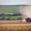 Inadimplencia-renova-recorde-e-chega-a-74percent-no-credito-rural-televendas-cobranca-1