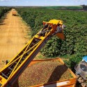 Proposta-do-setor-produtivo-quer-melhorar-ambiente-de-credito-rural-televendas-cobranca-1