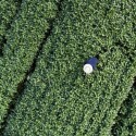 Credito-rural-com-analise-obrigatoria-de-desmatamento-fica-para-2027-televendas-cobranca-1