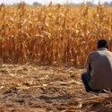 Recuperação judicial no agro cresce e novas regras elevam exigência por análises técnicas-televendas-cobranca-1