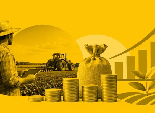 Credito-rural-sustenta-o-agronegocio-televendas-cobranca-1